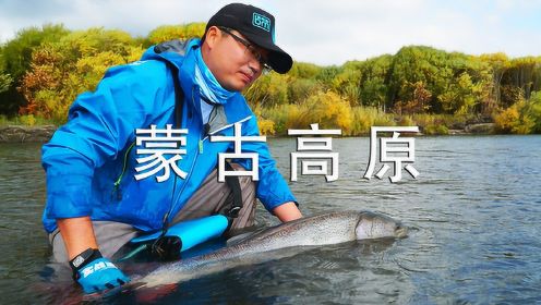 蓝旗鱼路亚 | 寻梦第3集 蒙古高原 梦境中的哲罗鲑