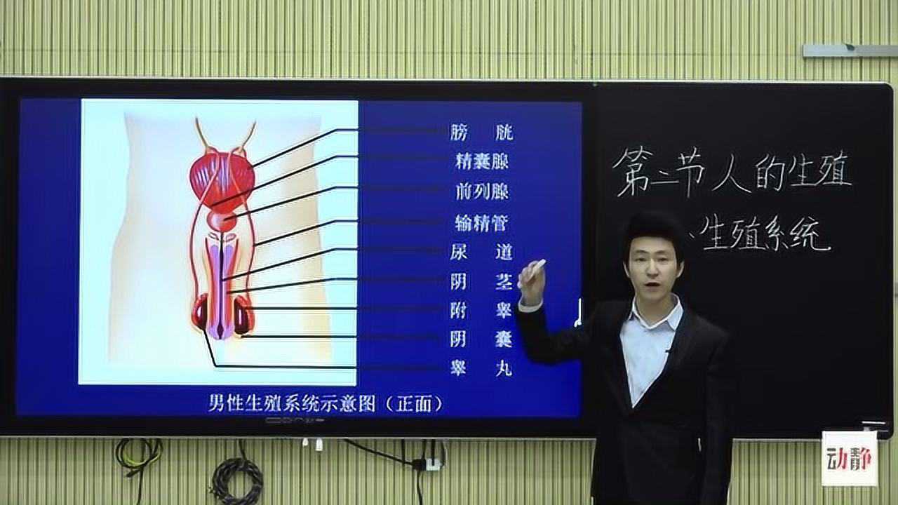 0227-004初一年级生物-人的生殖_腾讯视频
