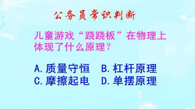 公务员常识判断,儿童游戏“跷跷板”在物理上,体现了什么原理呢