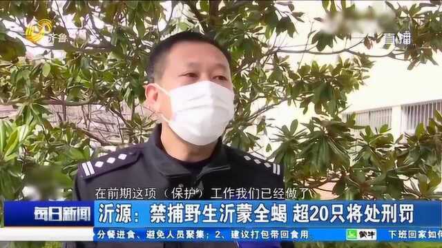 注意!沂源县发布禁捕、食用野生沂蒙全蝎公告 超20只将处刑罚