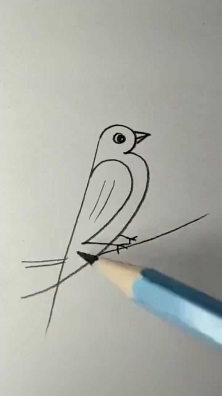三笔教你画小鸟图片
