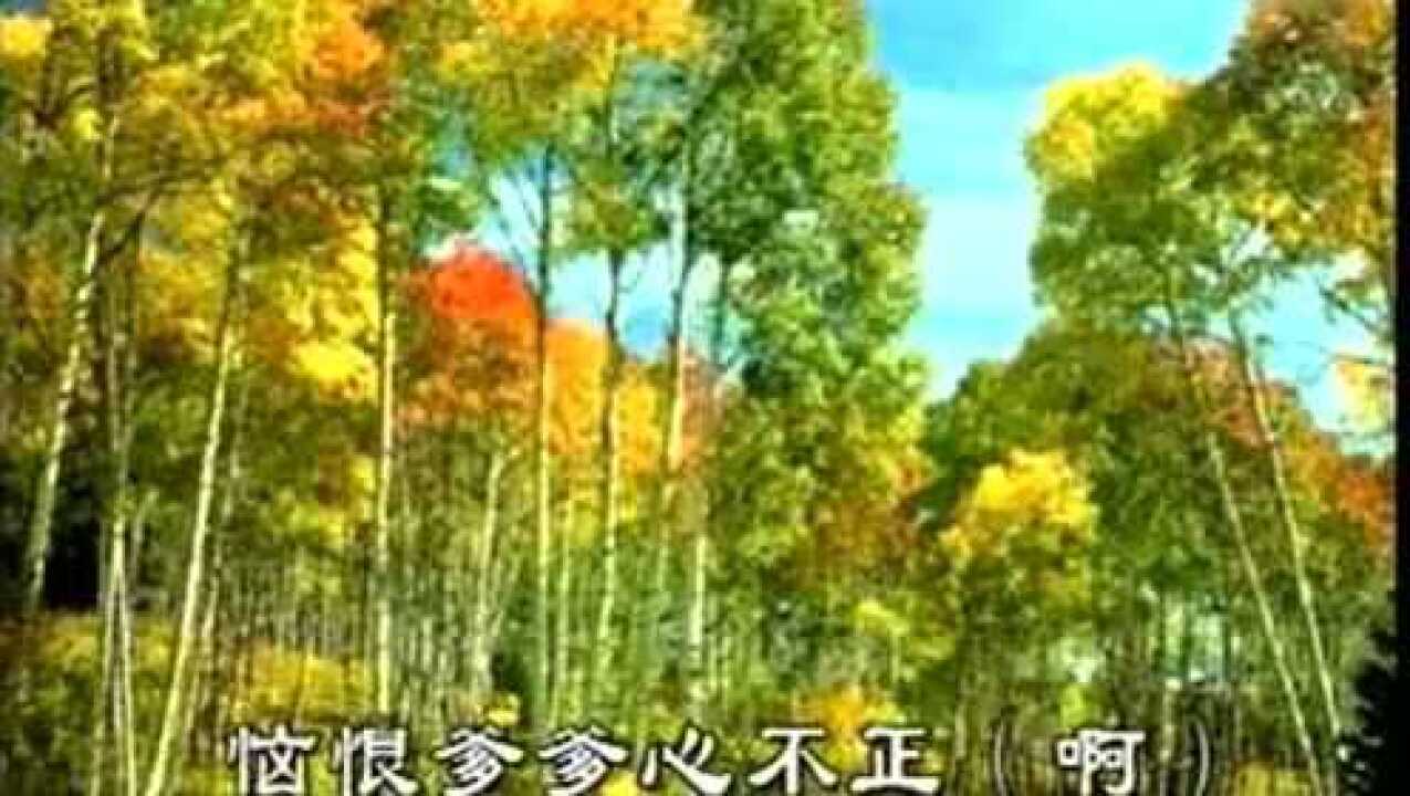 豫剧板胡 恼恨爹爹心不正 (h伴奏)标清.m腾讯视频