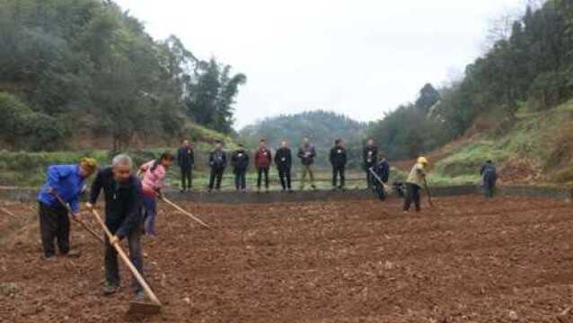 农村土地“大清查”!有3种情况 农民 或失去土地,希望没有你!