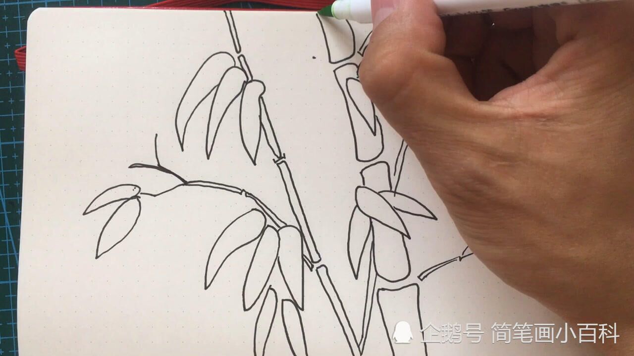 简笔画竹子的画法，记得收藏哦_高清1080P在线观看平台_腾讯视频