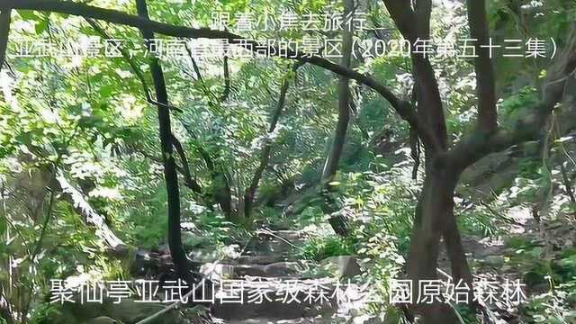 灵宝亚武山,河南最西部的景区,天然氧吧,完美乐园