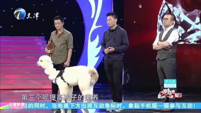 羊驼造型齐特,现场表演萌翻全场,训练师分享训宠心得