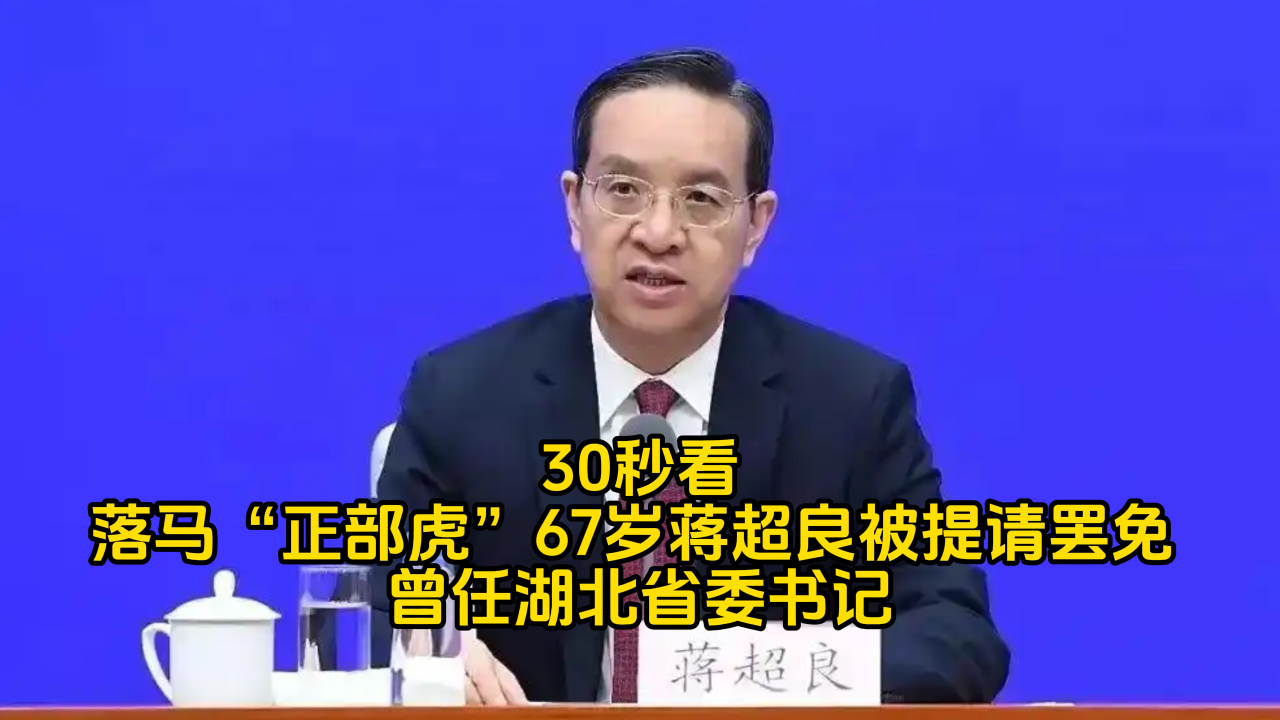 30秒看:落马"正部虎"67岁蒋超良被提请罢免 曾任湖北省委书记
