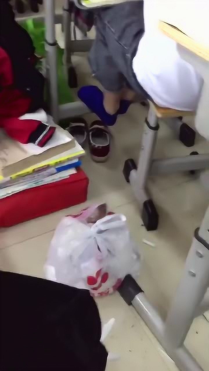 学校夏天在学校热的纷纷开始脱鞋