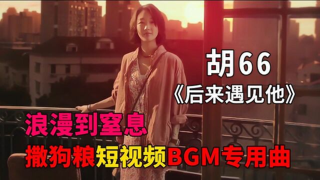 胡66《后来遇见他》,撒狗粮短视频背景音乐专用曲,请谨慎听