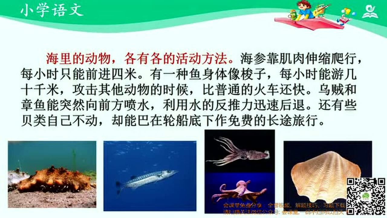部编版三年级语文下册特级教师精讲59海底世界(第二课时)