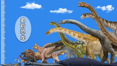 如果把史前恐龙做一个对比，你会发现什么？谁才是最大的？