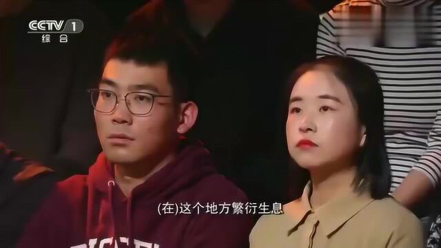 黄河为什么是母亲河?教授从多方面分析,听完真是长知识!