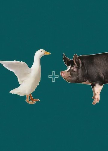 两种动物结合后会是什么样子呢