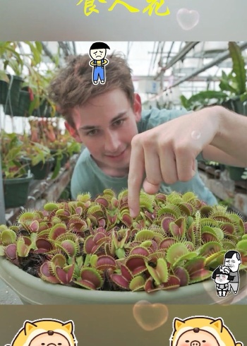 原来食人花是这样吃人的,还可以消化,食肉植物真可怕