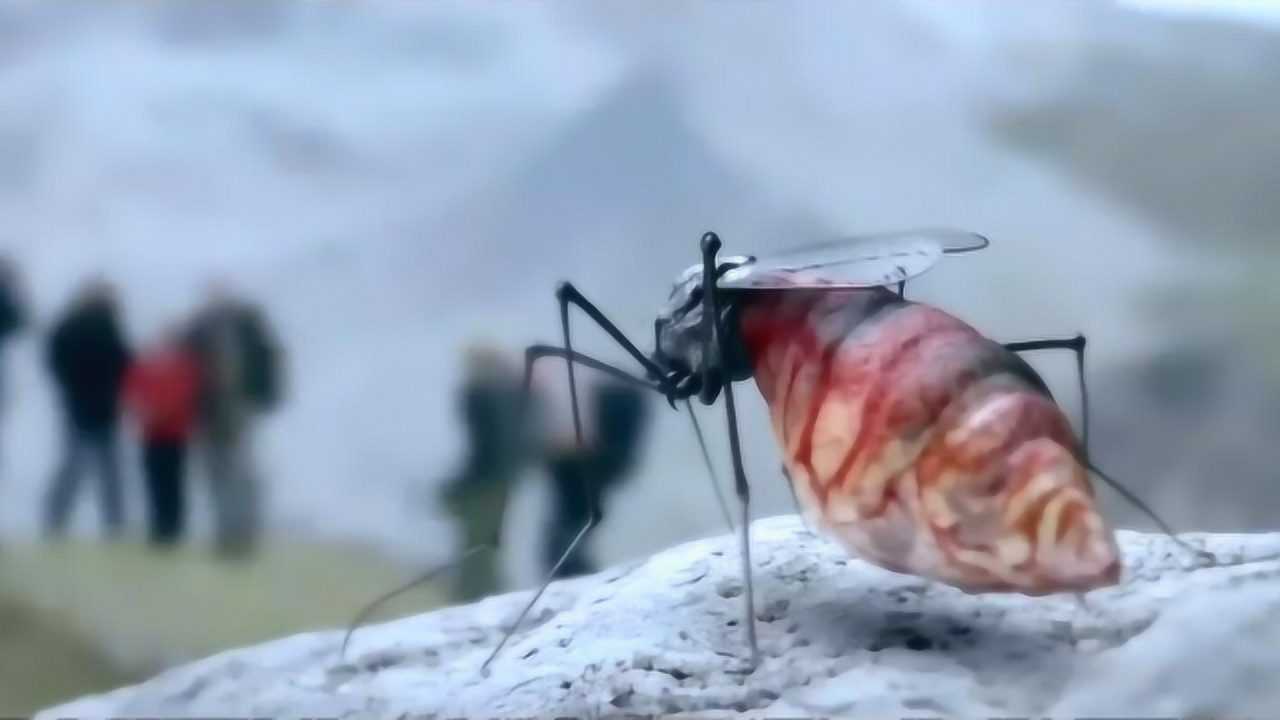 科幻电影红色冰川融化解冻出可怕细菌导致蚊子变异体型变大
