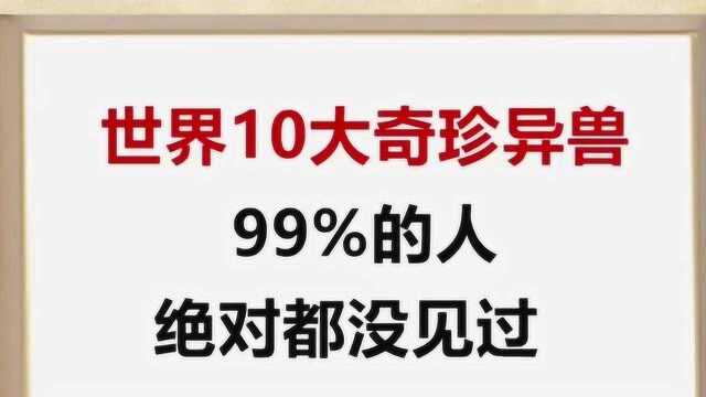 世界十大奇珍异兽,99%的人绝对没见过!一起来看看吧.