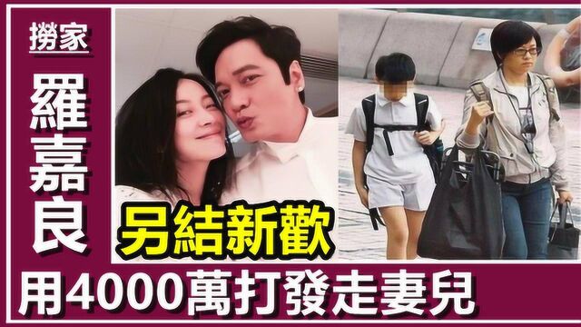 罗嘉良用4000万\