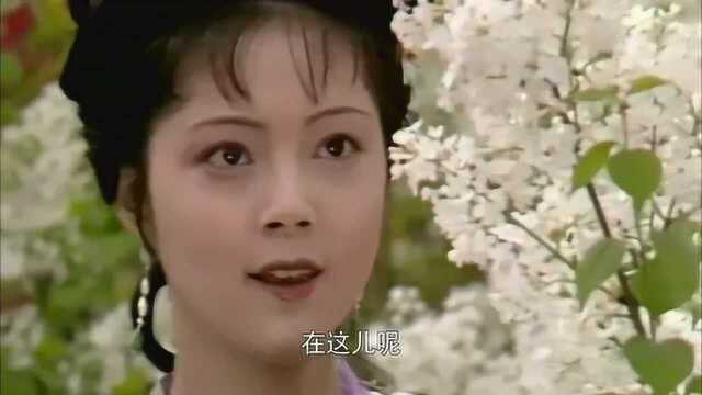 红楼梦:贾政真宠宝玉,竟让宝玉与美女过逍遥日子,怎还想向学?