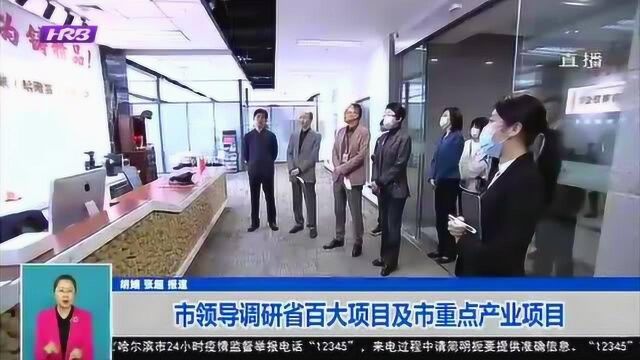 哈尔滨市领导调研省百大项目及市重点产业项目 协调解决项目问题