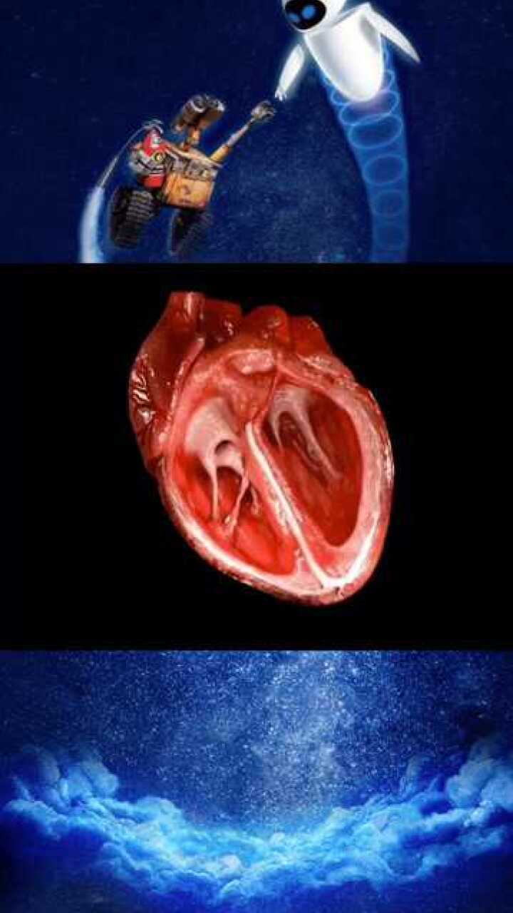 世界上第一颗人造心脏图片