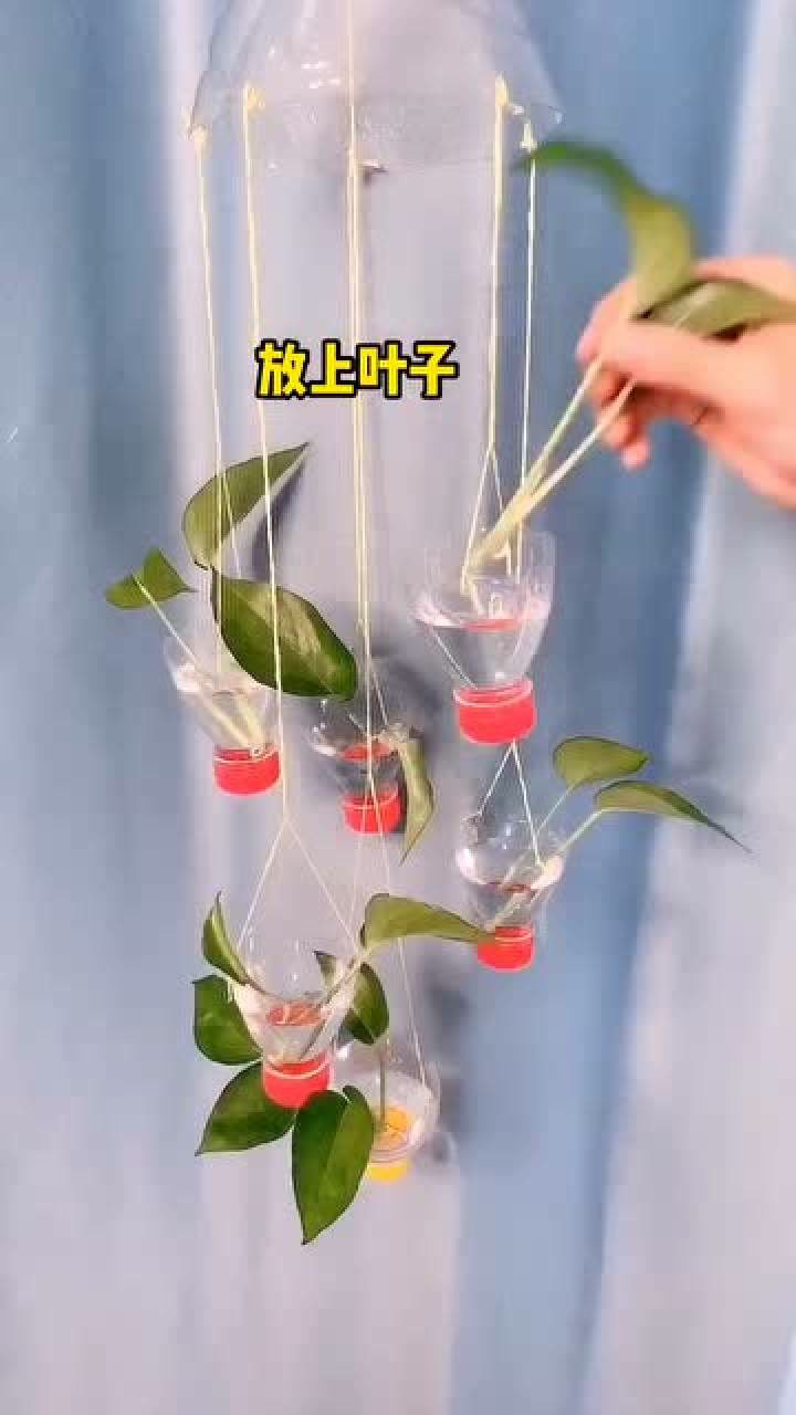 喝完的矿泉水瓶不要扔教你制作好看的风铃盆栽是不是很后悔扔掉啊