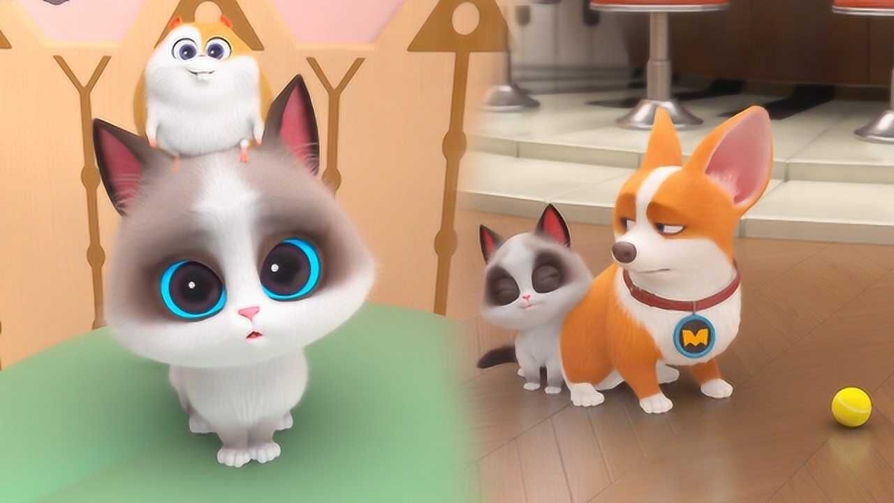 飞狗moco:直男moco和傲娇小公举的甜蜜日常,感觉就是咪了个喵