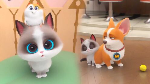 飞狗moco:直男moco和傲娇小公举的甜蜜日常,感觉就是咪了个喵