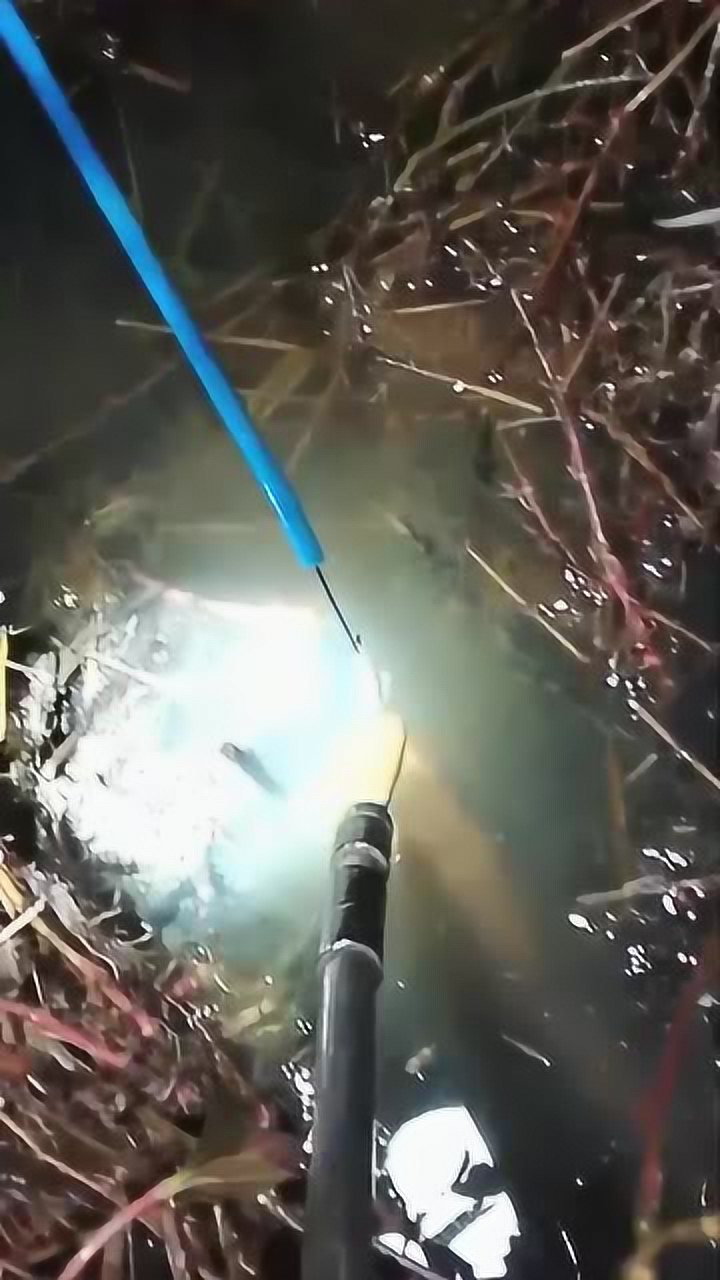 农村小伙夜晚钓黄鳝这黄鳝太容易就上钩了晚上的黄鳝没戒心