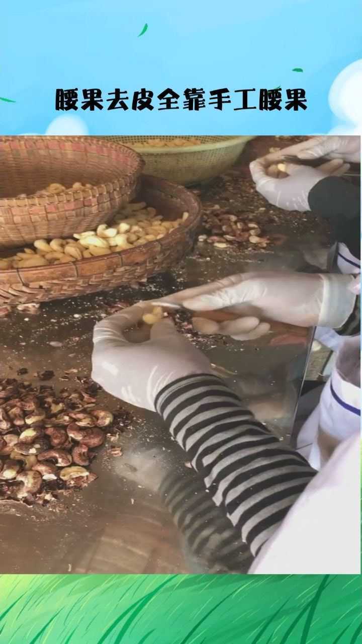 腰果去皮全靠手工腰果