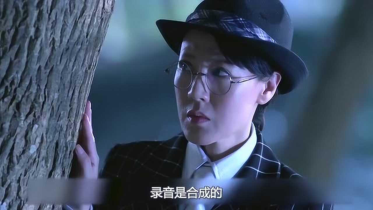 速看《潛伏在黎明之前》第42集 戴佩秋陷入險境