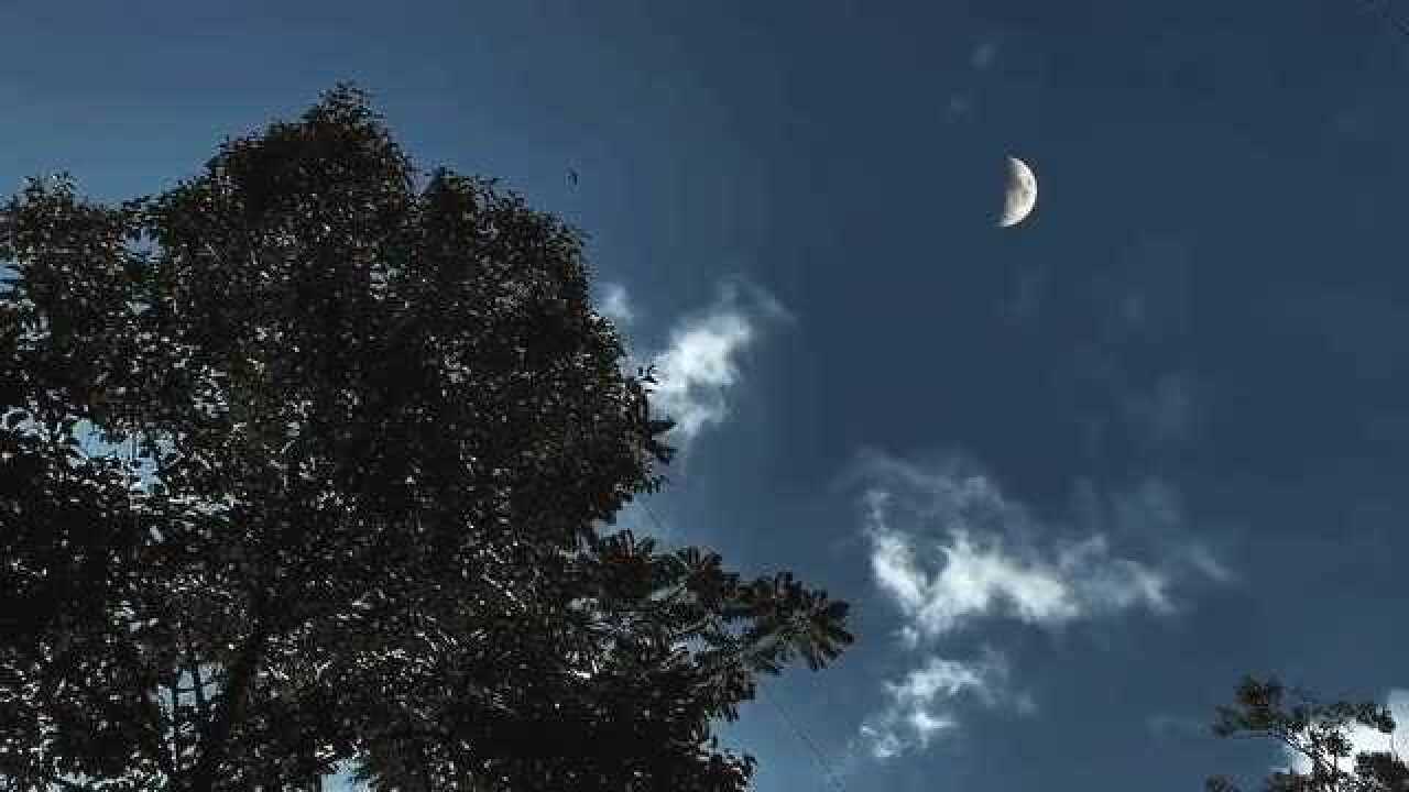 夏天在乡村的夜晚星光点点虫鸣声声抬起头看到的才是最美的