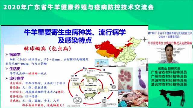 牛羊常见寄生虫病流行概况及防控策略27号(腾讯新闻科学知识官)