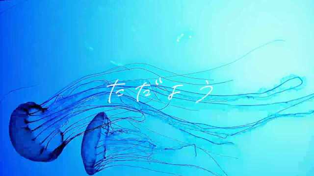 初音ミク《漂浮》