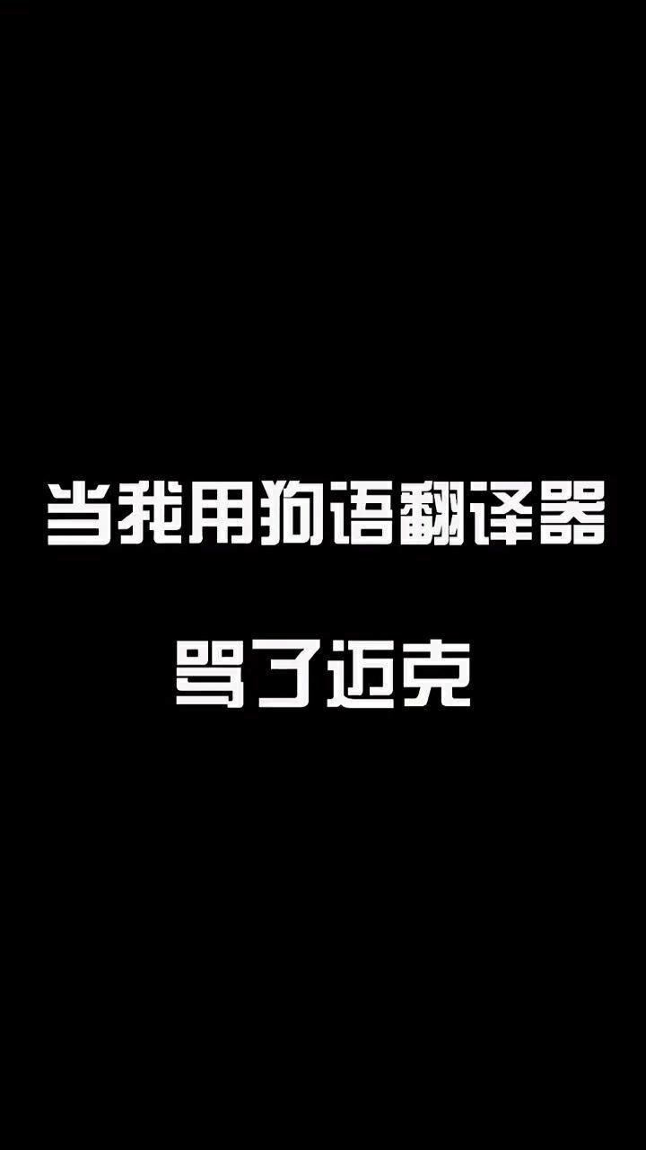 当我用狗语翻译器骂狗狗看看它的反应