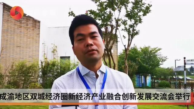 成渝地区双城经济圈新经济产业融合创新发展交流会举行