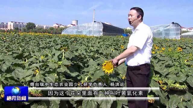 党支部领办合作社 开辟强村富民路