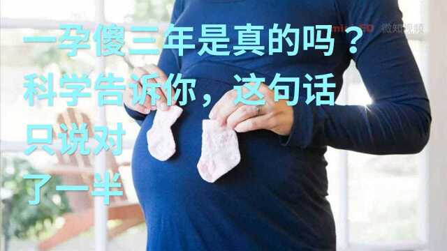 一孕傻三年是真的吗?科学告诉你,这句话只说对了一半