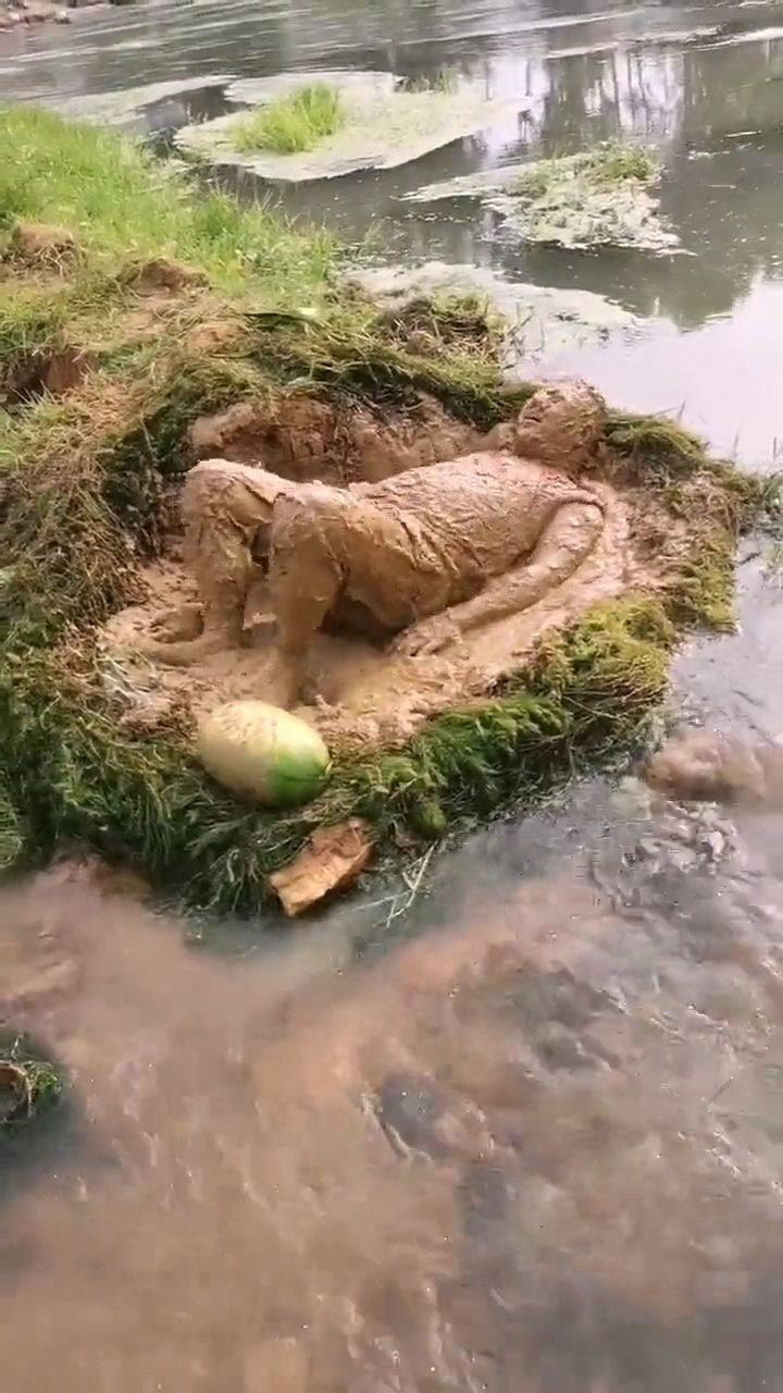 天气太热了来个泥巴浴一天都不想回家