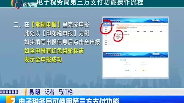 电子税务局可使用第三方支付功能