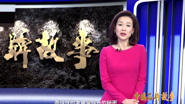 《中国品牌故事》东方日升:在那太阳升起的地方