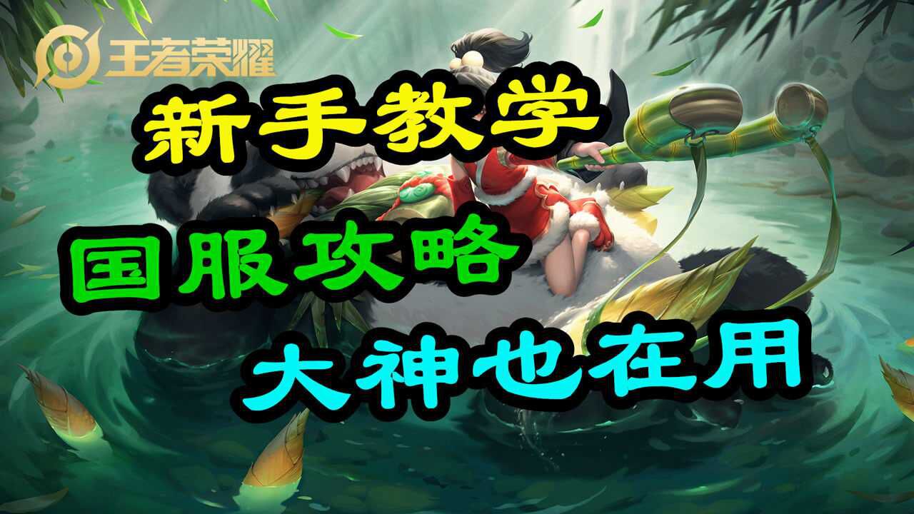 王者荣耀英雄阿古朵新手教学国服攻略快速上手大神也在用