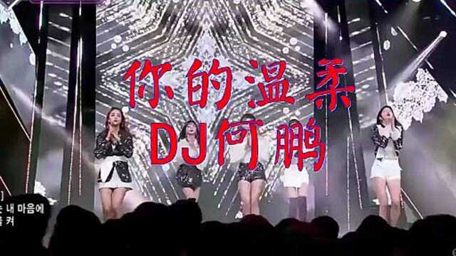 一首DJ劲歌《你的温柔 DJ何鹏》,太牛了,醉人醉心