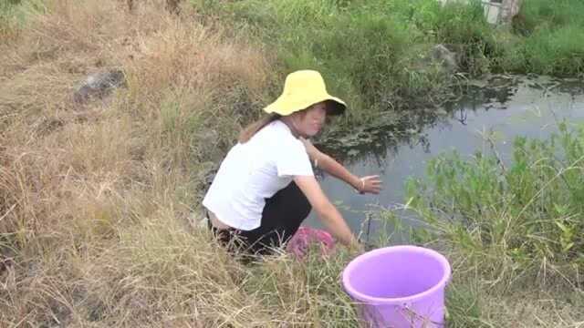 趁着拔秧的空闲时间钓鱼,一个小时的时间收获6条鱼,乐坏了