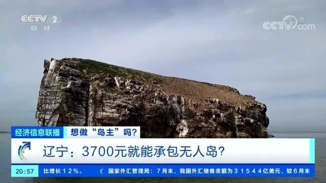 想做“岛主”吗?辽宁:3700元就能承包无人岛?