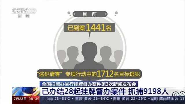 全国扫黑办:已办结28起挂牌督办案件,抓捕9198人央视网