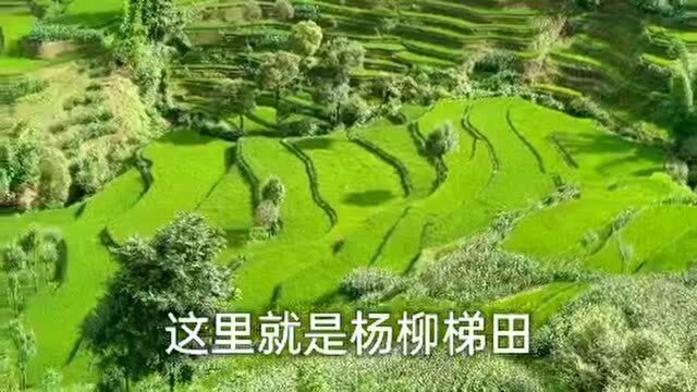 云南省红河县,杨柳梯田