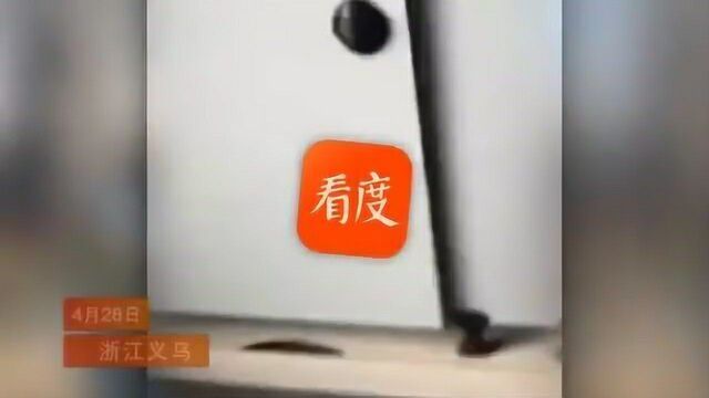 男子偷拍女子如厕当场被抓女子怒吼:我拉屎你拍着有意思吗