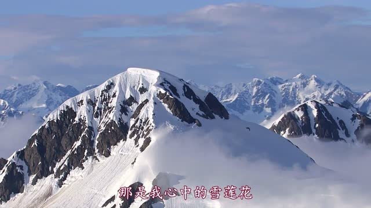 天边的雪莲花原唱图片