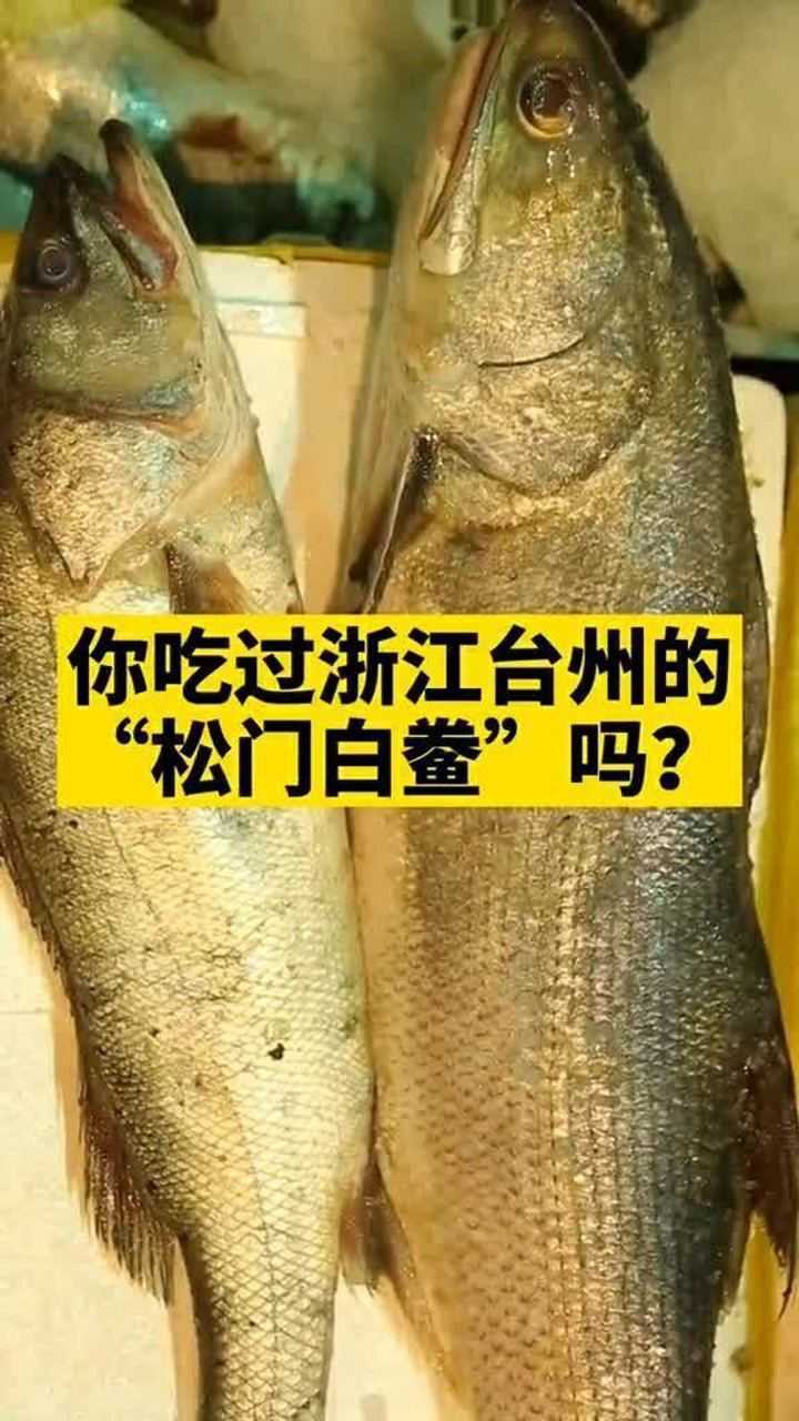 "松门白鲞"是很多台州人的童年记忆,你知道用白鲞可以做什么菜吗