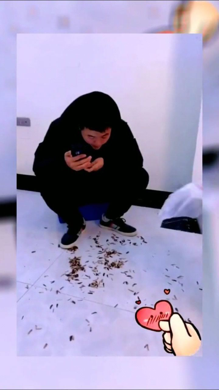 爸爸随地吐瓜子儿子给上一课